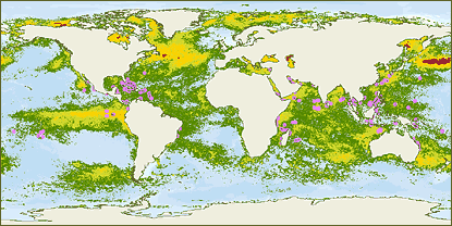 Sea surface temperature and coral bleaching